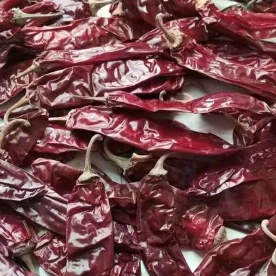 China Pimenta doce Paprika Stemless Dried Red Peppers de FDA anídrica à venda
