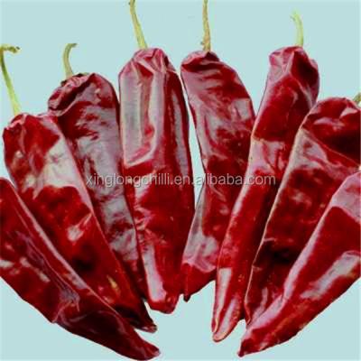 China Sweet Yidu Chili Block Shape Stemmed Dehydrating Chillies Medium Spicy for sale