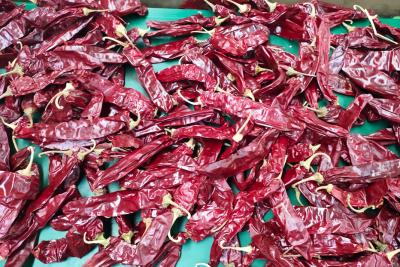 China XingLong secó a Paprika Peppers que el 16CM deshidrataron a Chili Pods rojo en venta