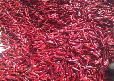 China Chaotian Dried Chilli Pepper Sterilized Whole Dried Chillies 20Kg for sale