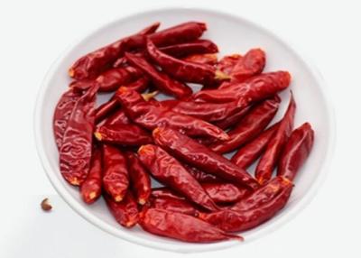 China Tientsin que desidrata pimentões Sun secou a paprika vermelha picante Stemless à venda