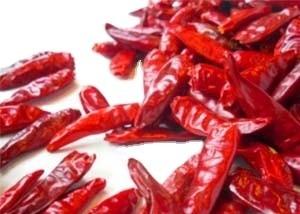 China Air Dried Tianjin Red Chilies Medium Hot Stemmed Dried Chile Pods for sale