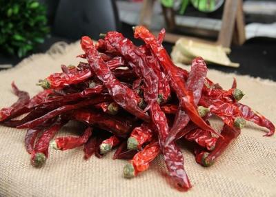 China Vainas rojas de SHU10000 Xian Chilli Pungent Flavor Dried Chile 10 PPB en venta