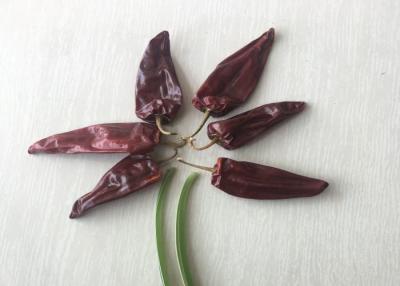 China 12cm Dried Spicy Peppers Pungent Dried Red Chili Pods 12% Moisture for sale