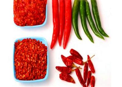 China Pimentões vermelhos culinários de Tianjin Chili Peppers encarnado secado categoria à venda