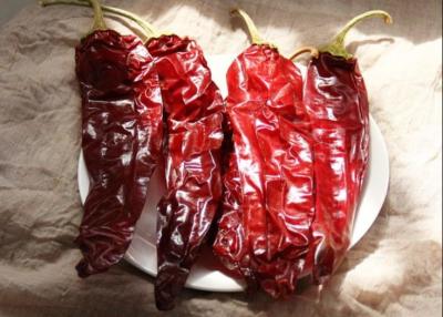China Single Herb Dried Paprika Peppers 1000SHU 20cm Dried Red Hot Chili for sale