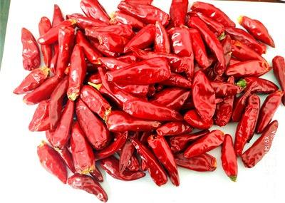 China 20000SHU Facing Heaven Pepper 8% Moisture Dried Hot Chili Single Herb for sale