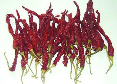 China Sundried Xian Chilli SHU8000 Dried Red Chilli Peppers 8% Moisture for sale