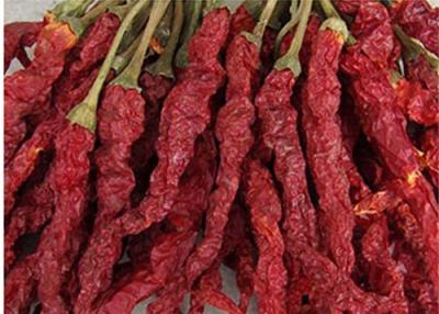 China O bloco dá forma a pimentões vermelhos secos longos Stemless de Xian Chilli Seasoning à venda