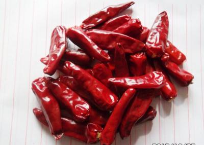 China Red Bullet Chaotian Pepper Stick Shape Sichuan Facing Heaven Chillies for sale