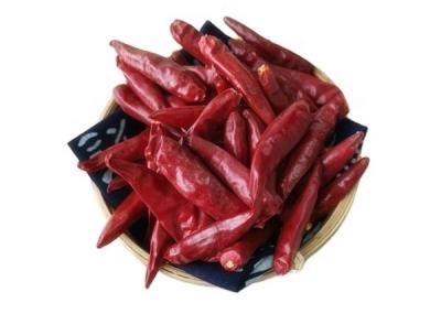 China Tientsin Dried Red Chilli Peppers 15000SHU Dehydrated Spicy Red Paprika for sale