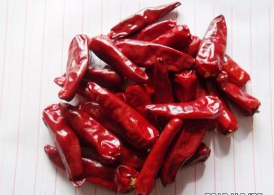 China 8000SHU Chinese Dried Chili Peppers 7CM Pungent Dehydrated Hot Peppers for sale