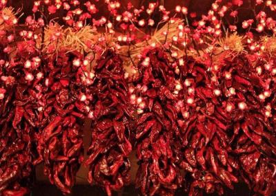 China Long Dry 8000SHU Dried Red Chilli Peppers 20Kg Pungent Flavor for sale
