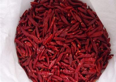 China HACCP Tianjin Red Chilies Cayenne Dried Chili Pods 12% Moisture for sale