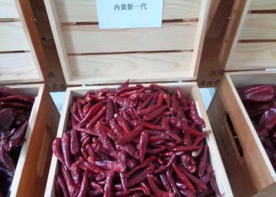中国 SHU 15000テンシンの赤い唐辛子不純物のXingLongの0.3%の乾燥した赤い唐辛子 販売のため