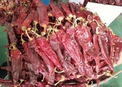 Chine Guajillo Sun Dried Chilli Red Guajillo Peppers Sweet Flavor KOSHER à vendre