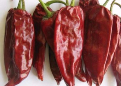 China Single Herb Yidu Chilli 12000 SHU Chinese Dried Red Chili Peppers for sale