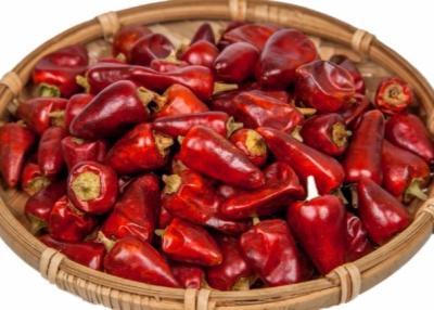 China Stemless Red Bullet Chilli Dehydrated 25000SHU Dried Spicy Peppers for sale