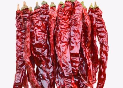 Chine L'ANNONCE a séché les piments secs entiers de Xian Chilli 20CM non irradiés à vendre