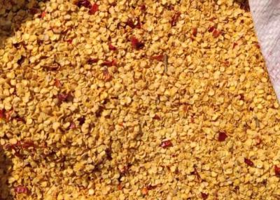 China Granule Dried Chilli Seeds 10PPB 15000SHU Spicy Pepper Seeds HACCP for sale