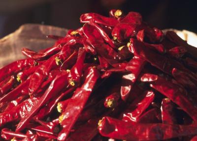 China Sweet Erjingtiao Dried Chilis 12% Moisture Erjingtiao Pepper With Stem for sale