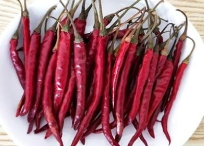 China S17 Dried Red Chile Peppers Stick Shape Whole Chilli Pods Spices for sale