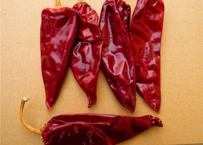 China GMP Dried Red Chilli Peppers 2CM Dehydrated Lantern Pepper 2 Year Shelf Life for sale