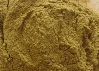 Chine Certificat HALAL piquant de la poudre 80M Green Chilli Powder de poivre de Jalapeno à vendre