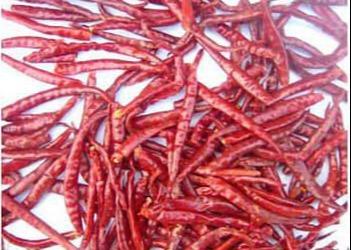 Wholesale High Quality Dry Jinta Chilli Puya Jinta Chili Red Chilli Jinta Guajillo chilli