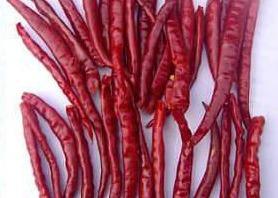 Chine 30000 SHU Chinese Dried Chili Peppers Chili Pods Hot Tasty rouge piquant à vendre