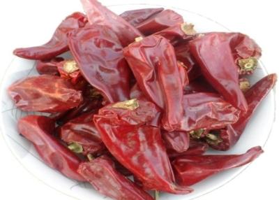 China Mild Sweet Dried Paprika Chilies 8000shu Vacuum Sealed Packaging for sale