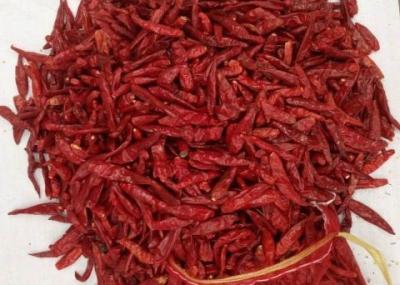 China NO Pigment Spicy Dried Chiles Steam Sterilized Chili Pods For Tamales for sale