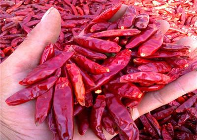 China Stemless Whole Dried Red Chilli Peppers 20000SHU Single Herbs for sale