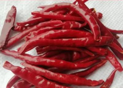 China Tasty Spice Seasoning Yunnan Dried Red Chilli Peppers Non - Sulfur for sale