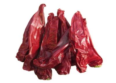 China Organic Yidu Chilli Red Pepper Beijinghong Jinta Chilli 10 Cm 12% Moisture for sale