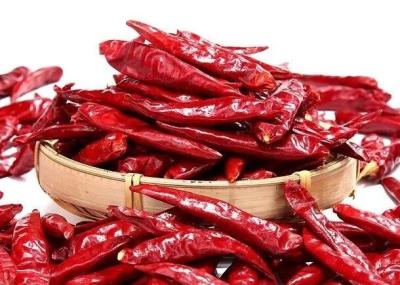 China Tien Tsin Dried Red Chilli Peppers For Szechuan Style Cooking Kung Pao Ingredient for sale