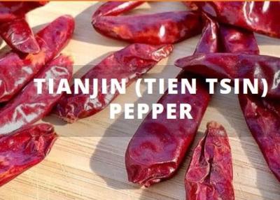 China Chinese Tianjin Tien Tsin Chile Peppers In 5lb Vacuum Pack for sale