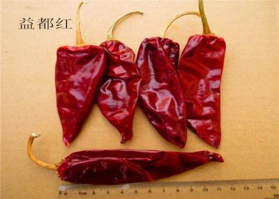 China Culinary Yidu Chili Red Pepper Crushed Powder 8-15 Cm With / Without Stem for sale