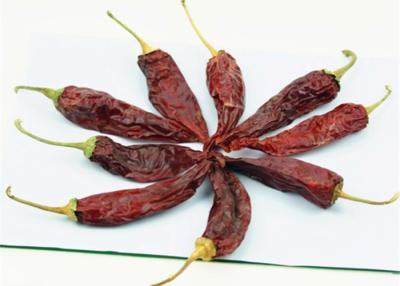 China Organic Guajillo Peppers Chili For Fruity In Marinades & Recipes 8000 - 12000SHU for sale