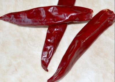 Cina I peperoncini rossi di Jinta secchi marinate hanno asciugato la paprica calda dei peperoni in vendita