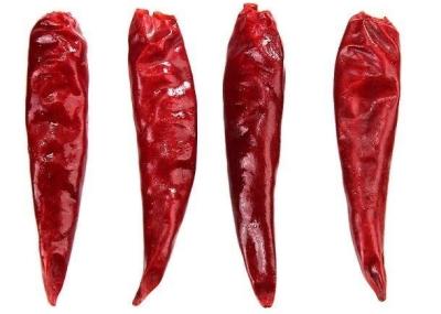 China HALAL Dried Sanying Chili New Generation Chili For Hot Pot for sale