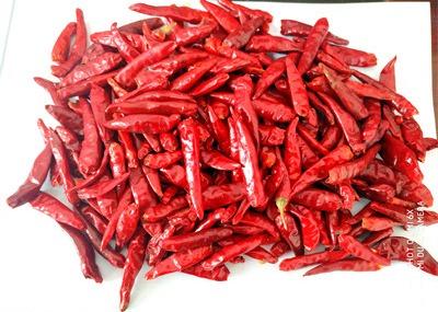 China Halal Certified New Generation Dried Red Chile Peppers 50000-90000SHU for sale
