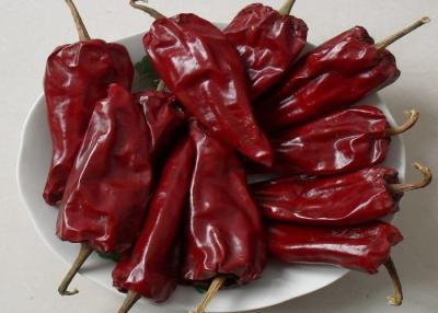 China Dried Yidu Chili With Stem Grade A Dried Red Chile Pods for sale