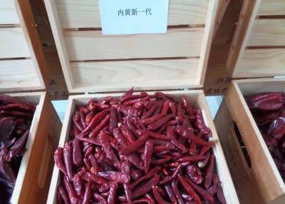 China A nova geração aprovada Halal da substituição S4 secou as pimentas vermelhas 50000SHU à venda
