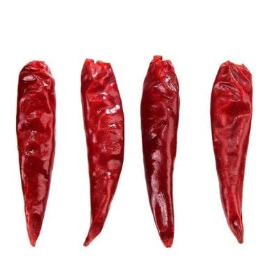 China hierbas secadas sin pie de 20000shu Tien Tsin Chili Peppers Single en venta