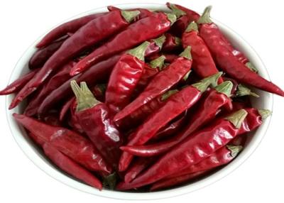 China Stemless Whole Dry tien tsin chiles Aste Mild 8, 000 Shu MUI/KOSHER/HACCP Certificates for sale