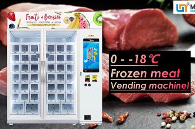 China 22 Inch Frozen Vending Machine For Meat Cheese Ice Cream Locker Size Customized for sale