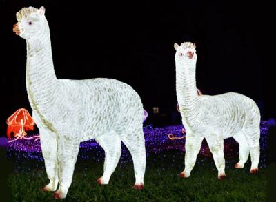 China LED simulation alpaca lamp outdoor landscape outdoor waterproof FRP animal lamp for sale