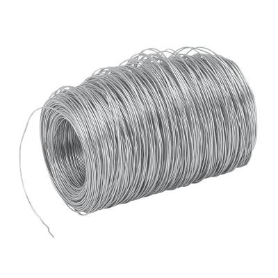 China High Quality Diameter 0.4mm 0.5mm 0.8mm 1.0mm Stainless Steel Wire 304 Stainless Steel Wire en venta