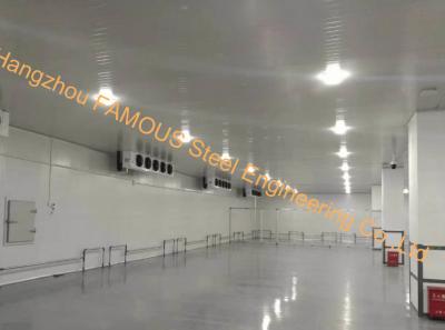 China OEM Cold Storage Project Cold Storage Room Freezer Unit For Meat With Cold storage engineering for sale